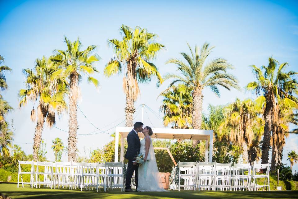 plas5-83_1_10892-170306084335130